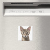 Nahes Bild eines Kätzchens Magnet (In Situ (Geschirrspüler))