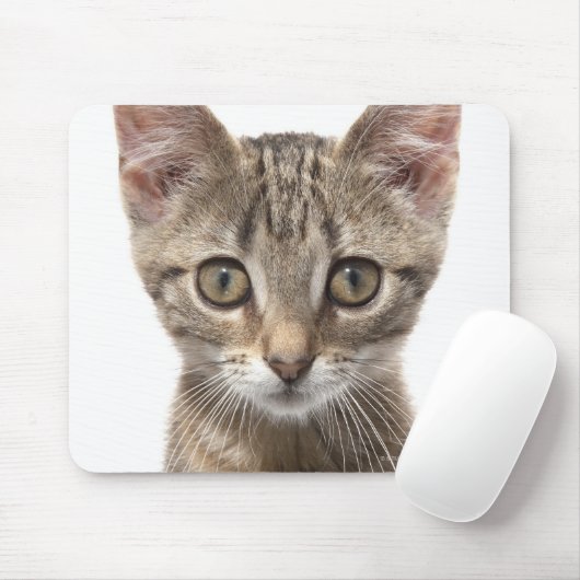 Nahes Bild eines Kätzchens Mousepad (Mit Mouse)
