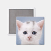 Nahes Bild mit vorwiegend weißer Oberfläche Magnet (Vorderseite/Rückseite)