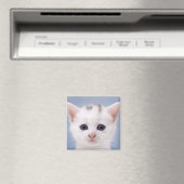 Nahes Bild mit vorwiegend weißer Oberfläche Magnet (In Situ (Geschirrspüler))