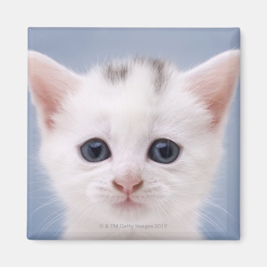 Nahes Bild mit vorwiegend weißer Oberfläche Magnet (Vorne)