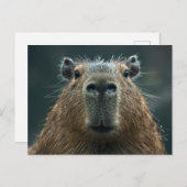 Nahes Capybara-Portrait Postkarte (Vorne/Hinten)