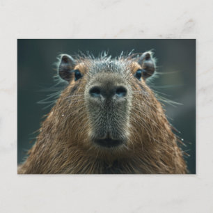 Nahes Capybara-Portrait Postkarte