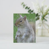 Nahes Eichhörnchen Postkarte (Stehend Vorderseite)
