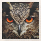 Nahes Eule mit orangefarbenen Augen Glasuntersetzer (Vorderseite)