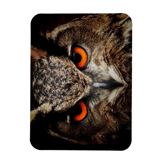 Nahes Eule mit orangefarbenen Augen Magnet (Vertikal)