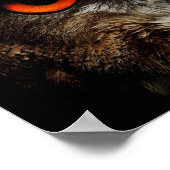 Nahes Eule mit orangefarbenen Augen Poster (Ecke)
