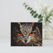 Nahes Eule mit orangefarbenen Augen Postkarte (Stehend Vorderseite)