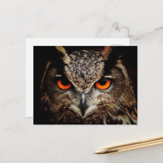 Nahes Eule mit orangefarbenen Augen Postkarte (Vorderseite/Rückseite Beispiel)