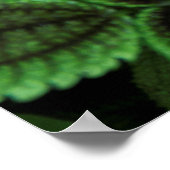 NAHES FOTO DER GRÜNEN GELEITETEN PFLANZE POSTER (Ecke)