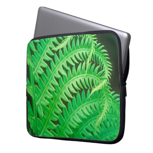 Nahes Foto einer Farnfront Laptopschutzhülle (Vorderseite Links)