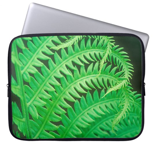 Nahes Foto einer Farnfront Laptopschutzhülle (Vorderseite)