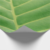 Nahes Foto grünes Blattwerk Geschenkpapier (Ecke)