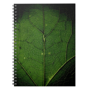 Nahes Foto Notizblock