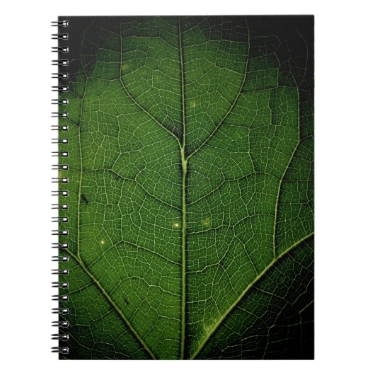 Nahes Foto Notizblock (Vorderseite)