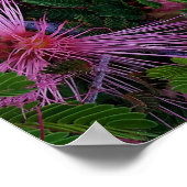 Nahes Foto von Blume aus rosafarbenem Glanz Poster (Ecke)