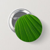 Nahes grünes Leaf Button (Vorne & Hinten)