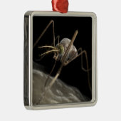 Nahes hohes Beißen des Moskitos 3d Ornament Aus Metall (Rechts)