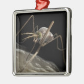 Nahes hohes Beißen des Moskitos 3d Ornament Aus Metall (Links)