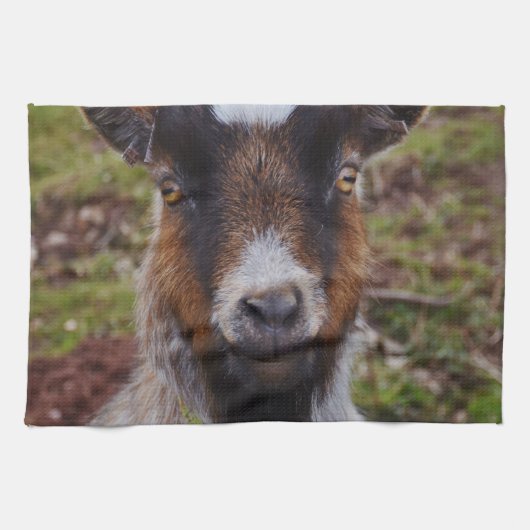 Nahes hohes der Ziege Handtuch (Horizontal)