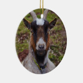 Nahes hohes der Ziege Keramik Ornament (Rechts)