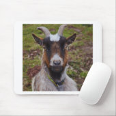 Nahes hohes der Ziege Mousepad (Mit Mouse)