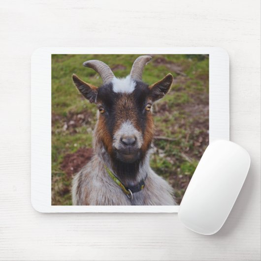 Nahes hohes der Ziege Mousepad (Mit Mouse)