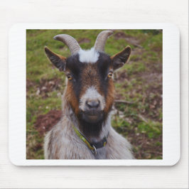 Nahes hohes der Ziege Mousepad