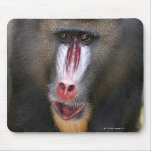 Nahes hohes des Dorns (Mandrillussphinx) Mousepad