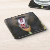 Nahes hohes des Dorns (Mandrillussphinx) Untersetzer (Linke Seite)