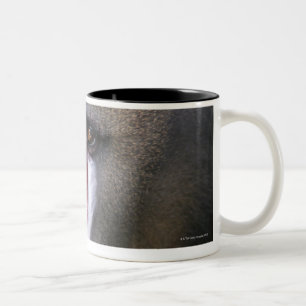 Nahes hohes des Dorns (Mandrillussphinx) Zweifarbige Tasse