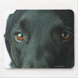 Nahes hohes des Hundeporträts Mousepad