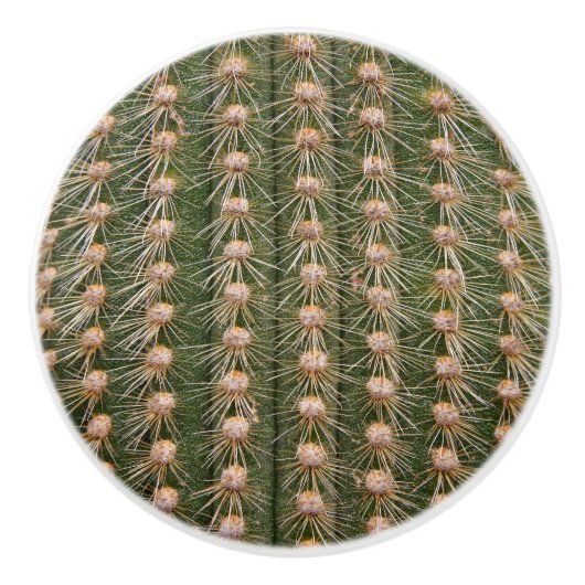 Nahes hohes des Kaktus Keramikknauf (Vorderseite)