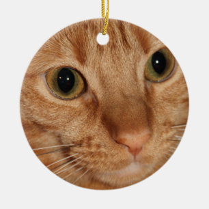 Nahes hohes des orange keramikornament