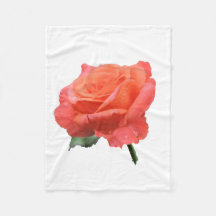 Nahes hohes Foto der Single-Rose