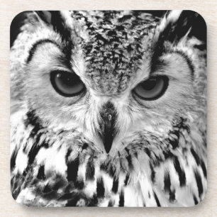 Nahes hohes Porträt der eurasischen Eagle-Eule Getränkeuntersetzer