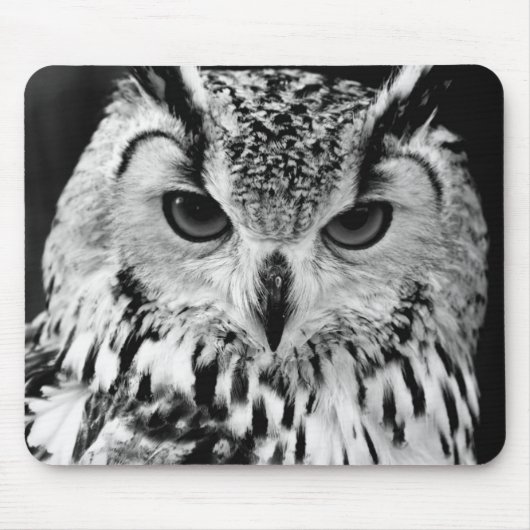Nahes hohes Porträt der eurasischen Eagle-Eule Mousepad (Vorne)