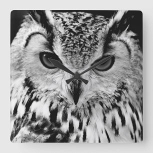 Nahes hohes Porträt der eurasischen Eagle-Eule Quadratische Wanduhr