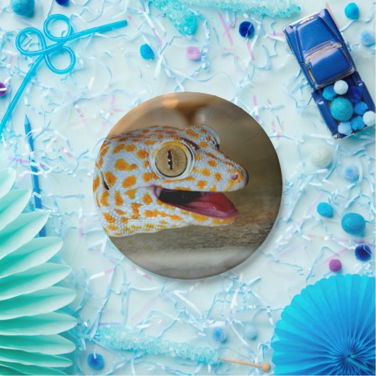 Nahes hohes Porträt von Tokay Gecko in TulaZoo Pappteller (Party)