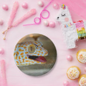 Nahes hohes Porträt von Tokay Gecko in TulaZoo Pappteller (Party)