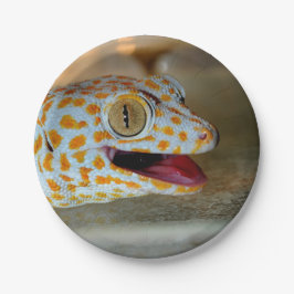 Nahes hohes Porträt von Tokay Gecko in TulaZoo Pappteller