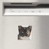 Nahes Kätzchen Magnet (In Situ (Geschirrspüler))