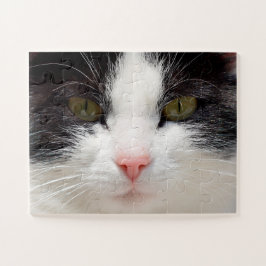 Nahes Katzengesicht, leicht Puzzle