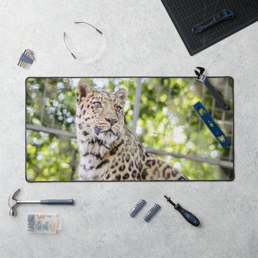 Nahes Leopard Face Foto Schreibtischunterlage (Arbeitsplatz)