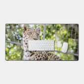 Nahes Leopard Face Foto Schreibtischunterlage (Tastatur & Maus)