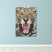 Nahes Leopardenpfeifen Leinwanddruck (Insitu (Holzboden))
