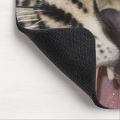 Nahes Leopardenpfeifen Mousepad (Ecke)