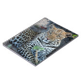 Nahes Leopardenportrait Notizblock (Linke Seite)