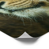 Nahes Lötprofil Poster (Ecke)