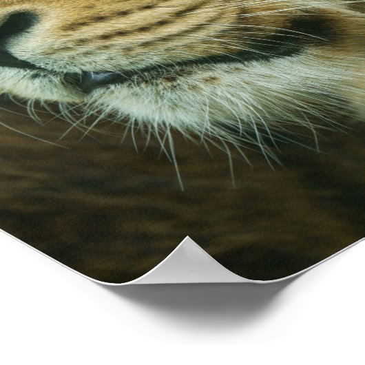 Nahes Lötprofil Poster (Ecke)